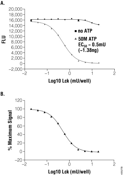Kinase activity is inversely correlated with R110 fluorescence.
