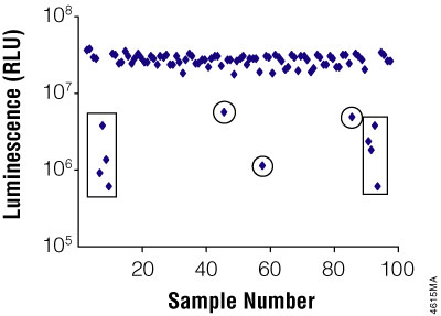 Screening for antimicrobial compounds using the BacTiter-Glo™ Assay.