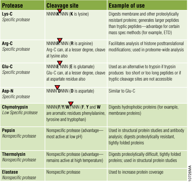 Comparative Proteases and Cleavage Sites.