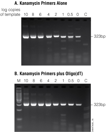 Fewer than five copies of a transcript were detected using the ImProm-II Reverse Transcription System supplemented with Taq DNA Polymerase in coupled RT-PCR.