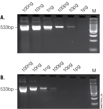 Two-step RT-PCR with simple addition of Taq DNA Polymerase and gene-specific primers to the original 20 microliters RT volume.