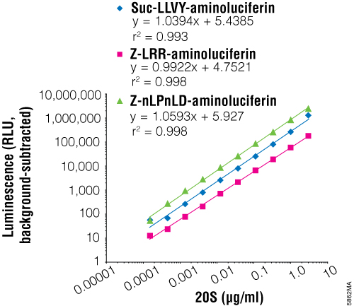Luminescence is proportional to proteasome concentration.
