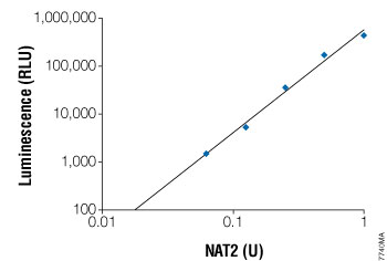 The luminescent signal is linearly dependent on the amount of NAT2 in the reaction.