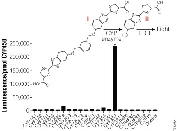 CYP enzyme selectivity for the Luciferin-3A7 substrate.