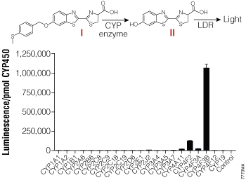 CYP enzyme selectivity for the Luciferin-4F2/3 substrate.