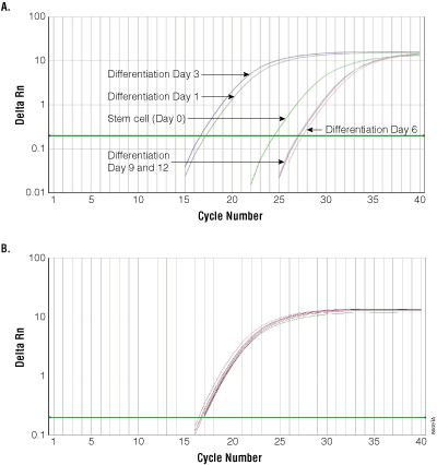 Monitoring gene expression during pancreatic cell differentiation.