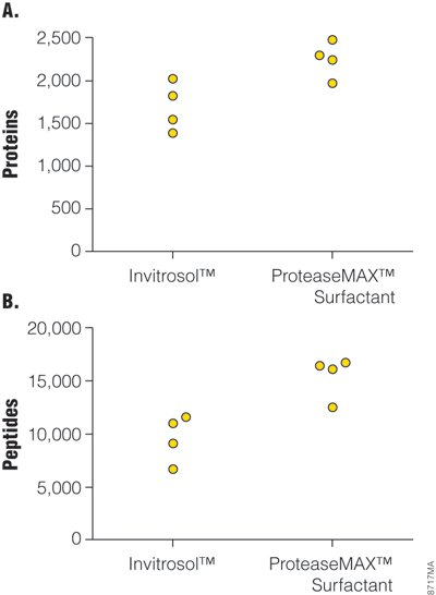 Protein identifications from MudPIT analyses.
