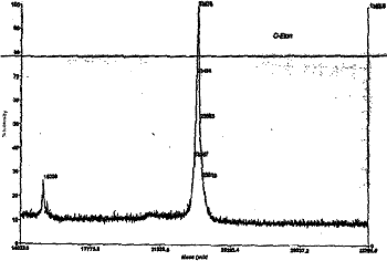 MALDI-TOF analysis of polyhistidine-tagged calmodulin eluted with 40% ethanol.