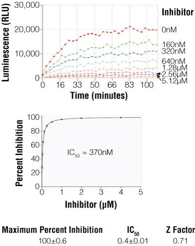 Dose-dependent inhibition of SARS-CoV PLpro activity using the DUB-Glo Protease Assay