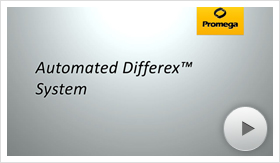 differex01-poster