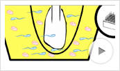 Automated Differex Animation Thumbnail