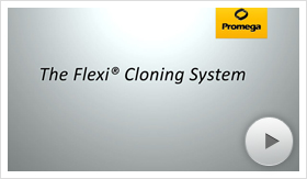 flexi01-poster