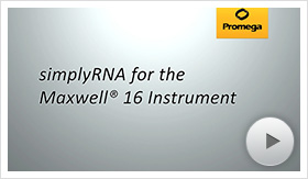Maxwell4steps-poster