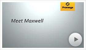 MeetMaxwell-poster