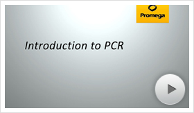 pcr01-poster