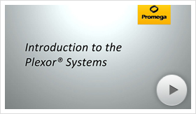 plexor01-poster