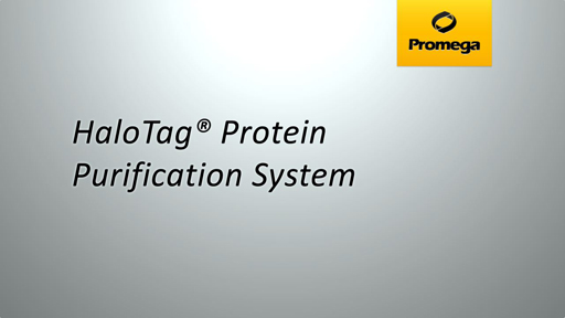 HaloTag Protein Purification System Animation