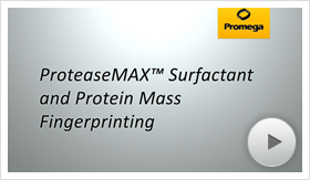 protmax01-poster