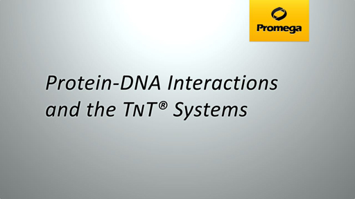 Protein-DNA Interactions and the T<span class="smallCaps">N</span>T® Systems