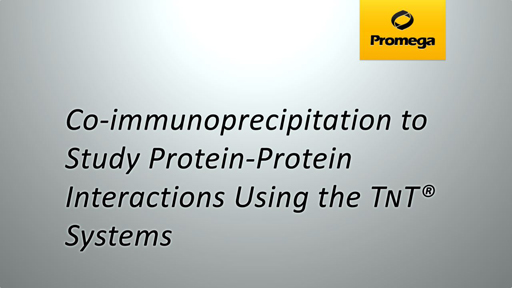 Coimmunoprecipitation to Study Protein Protein Interactions using the TNT Systems