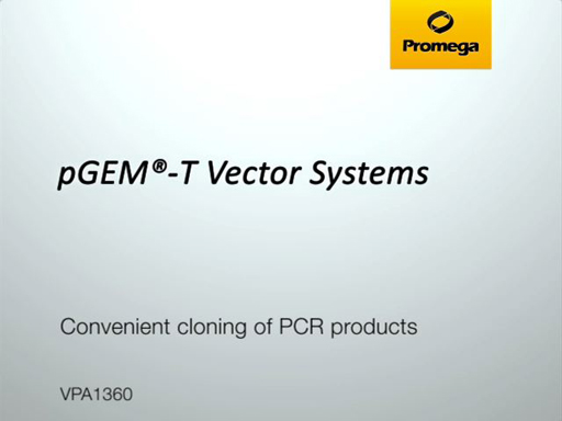 pGEMT Vector Systems Video