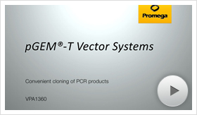 VPA1360-poster