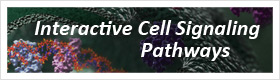 signaling-pathways-fr-280x80