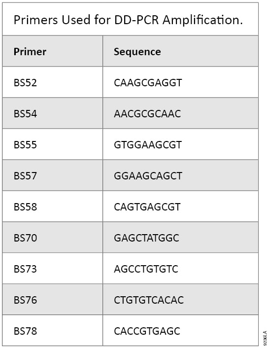 Primers Used for DD-PCR Amplification (7).