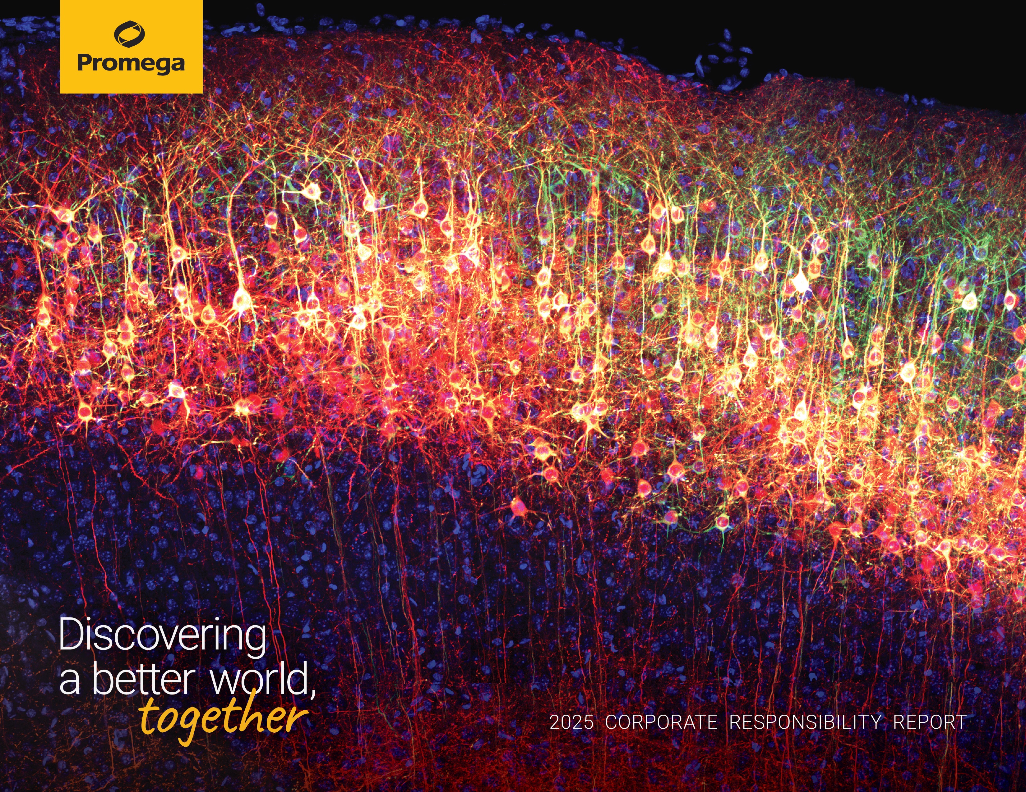 Cover of Promegas Corporate Resposibility Report 2025