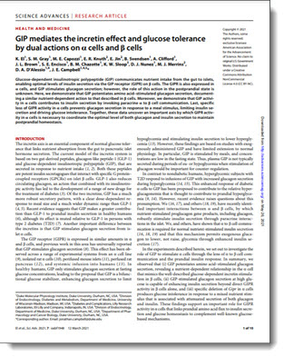 Screen shot of the printed paper.