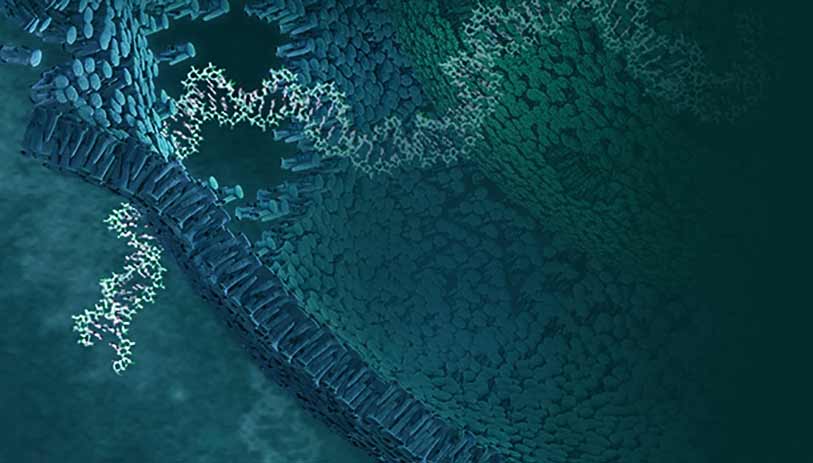 biomarker-3-ccfdnaproduct