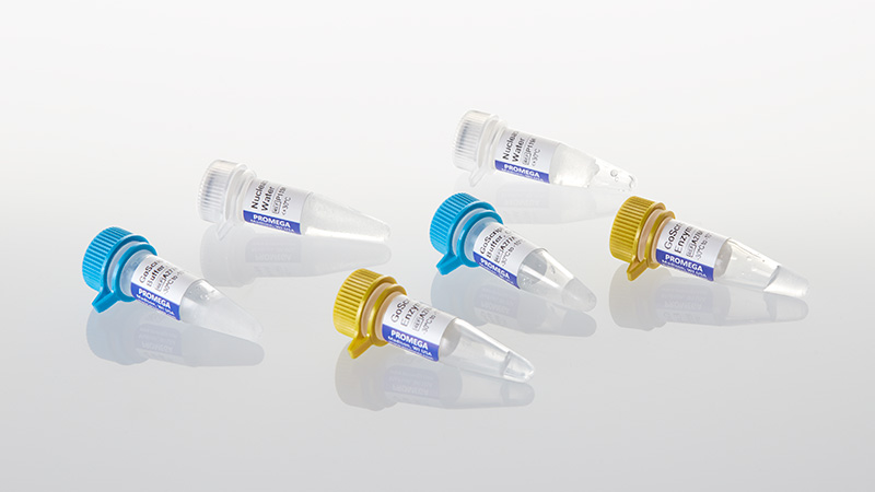 A2791-goscript-reverse-transcription-mix-oligo-dt