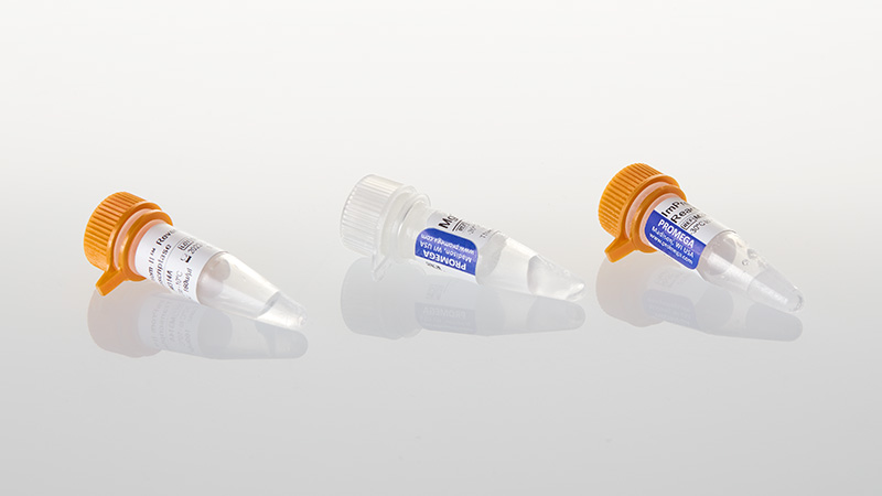 A3802-improm-ii-reverse-transcriptase