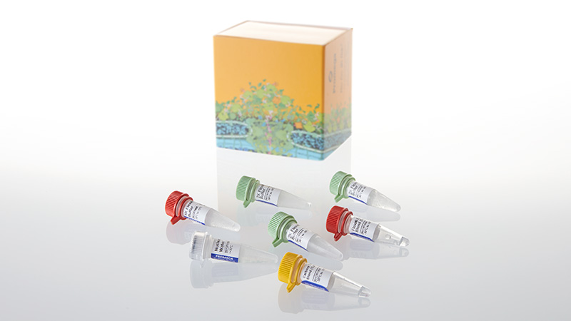 C9320_Carboxy-Flexi--System--Transfer_3