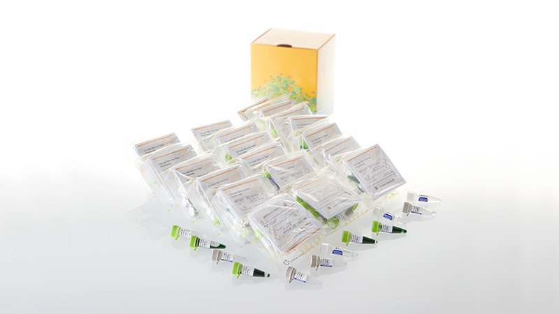 D6008_GoTaq--MDx-Hot-Start-Polymerase--10-000u_3