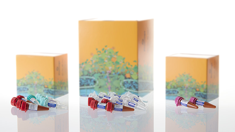 DC1720_PowerPlex--ESI-17-Fast-System--400rxn