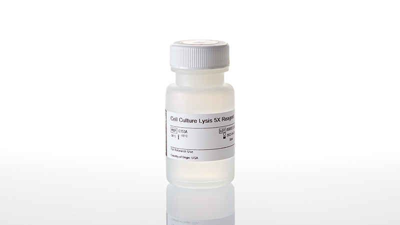 E1531_Luciferase-Cell-Culture-Lysis-5X-Reagent_3