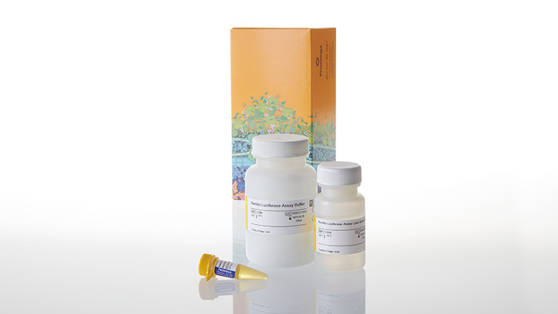 E2820_Renilla-Luciferase-Assay-System--1000-As_3