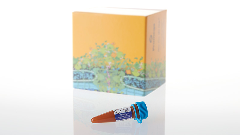 G8581_HaloTag-Fluorescent-Ligands