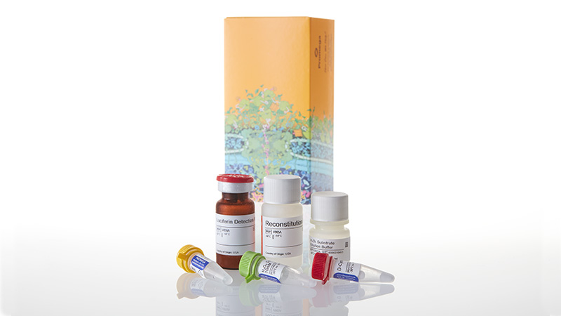 G8820_ROS-Glo-H2O2-Assay-10ml