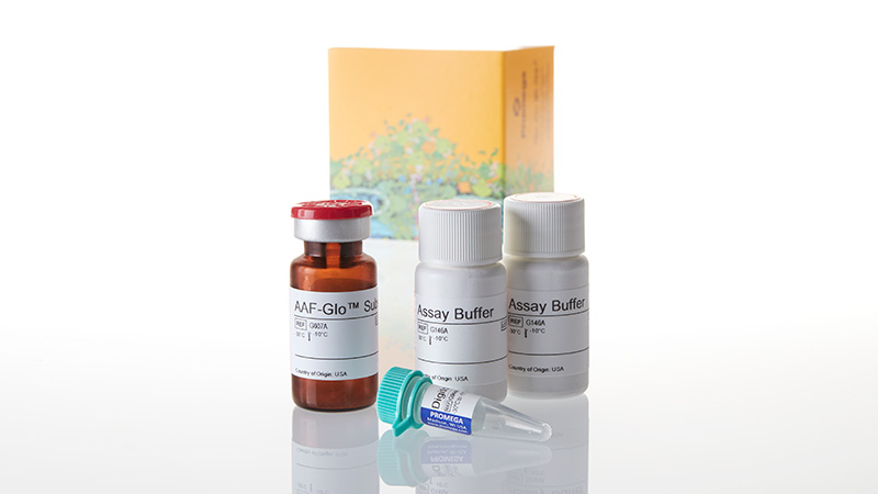 G9290_CytoTox-Glo--Cytotoxicity-Assay--10ml_3