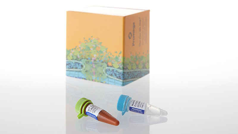 G9713_RealTime-Glo--MT-Cell-Viability-1000_3