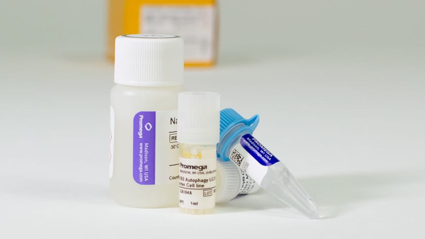 LC3 HiBiT Reporter Autophagy Assay Detection Kit