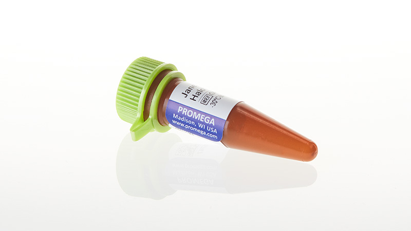 GA1110_Janelia-Fluor--549-HaloTag--Ligand_3