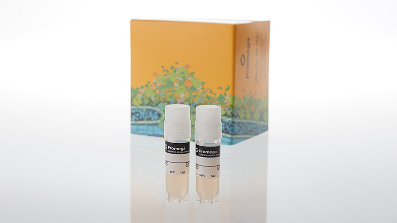 ADCP Reporter Bioassay (THP-1)