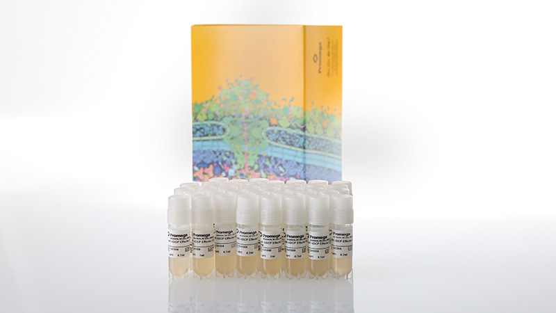 ga1330-fcyri-reporter-bioassay-cell-bank