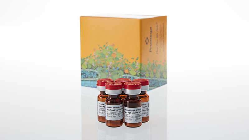 ht1070-janelia-fluor-jfx650-halotag-ligand-3