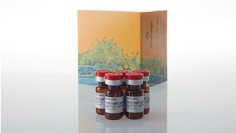 ht1130-xfd-660i-halotag-ligand