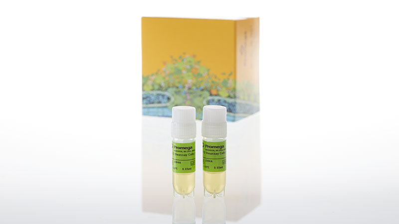 J3042_IL-12-Bioassay--Propagation-Model_3