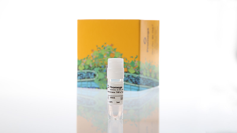 j3331-membrane-tnfa-target-cells-3